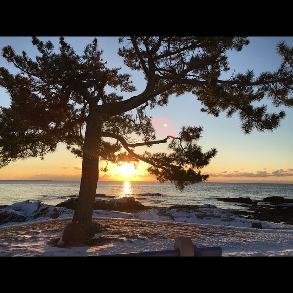 Profile Picture of Erin Marschner (@emarschner) on Poshmark