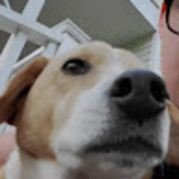 Profile Picture of Matthew Krupansky (@mkrupansky) on Poshmark