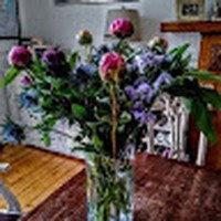 Profile Picture of Clare Macaulay (@clare-macaulay) on Quora