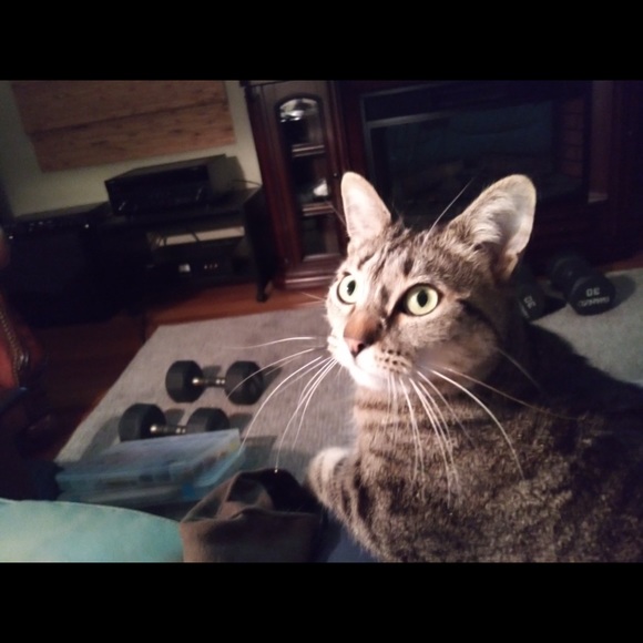 Profile Picture of Jodi Crowe (@jacrowe101) on Poshmark