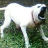 Profile Picture of Buddy Spivey (@@user7204419579036) on Tiktok