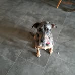 Profile Picture of Dennis Mcmorran (@dennis.mcmorran.56) on Facebook