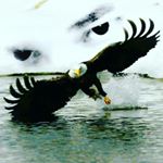 Profile Picture of Peter Kanis Bonaventura (@indigenous_indigo) on Instagram