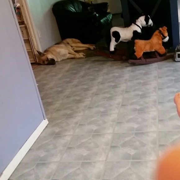 Profile Picture of Deborah Stasolla (@allforget4) on Poshmark