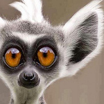 Profile Picture of Dennis Larkin (@delark51) on Flickr