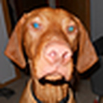 Profile Picture of Amanda Barker (@thatonechick64) on Flickr