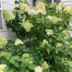 Profile Picture of Sharon Bertsch (@sharon.bertsch.524) on Facebook