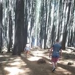 Profile Picture of Corey Whitley (@whitleycorey) on Instagram