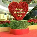 Profile Picture of Pallasa Daniel (@Pallasa-Daniel) on Facebook