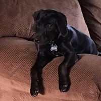 Profile Picture of Carrie Schmidt (@carrie-schmidt-9) on Quora