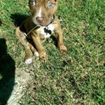 Profile Picture of Iris Arredondo (@irisarredondo2796) on Instagram