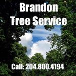 Profile Picture of Brandon Tree Service (@brandontreeservice) on Instagram