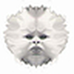 Profile Picture of Kurtev.clan (@kurtev.clan) on Flickr