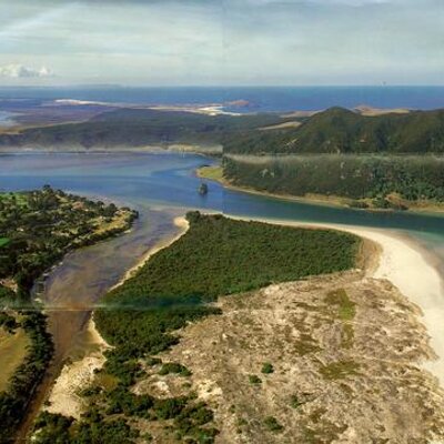 Profile Picture of Brett Blucher (@Tara431) on Twitter