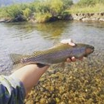 Profile Picture of Andrew O (@andrew.oconner) on Instagram
