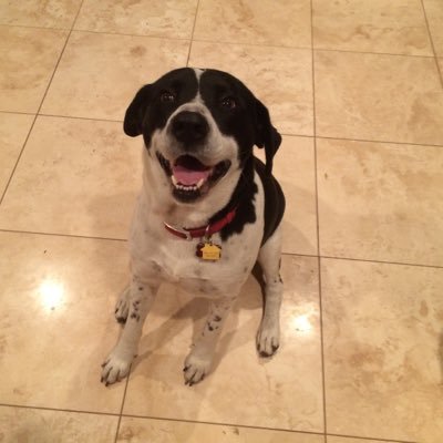 Profile Picture of Austin Hennessy (@austin_hennessy) on Twitter