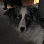 Profile Picture of John Girolamo (@jag17753) on Instagram