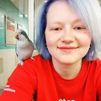 Profile Picture of Ariel Machinsky (@ariel-machinsky) on Quora