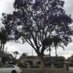 Profile Picture of Peter Tran (@peter_tranawe) on Instagram