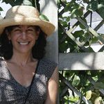 Profile Picture of Lisa Chasan-Taber (@lisachasantaber) on Instagram