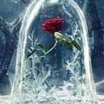 Profile Picture of Shelly Marie Whelchel (@budssugarcane) on Instagram