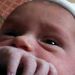 Profile Picture of Renee Otto Peterson (@greenthumb6257) on Pinterest