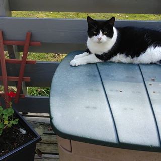 Profile Picture of Joyce Petrowski (@Joyce-Petrowski) on Facebook