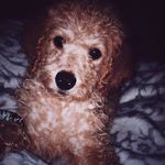 Profile Picture of kirby_rae_blaylock (@kirby_rae_blaylock) on Instagram