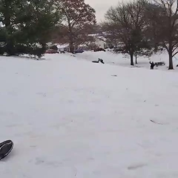 Profile Picture of Jordan Tocci (@jordan_tocci) on Poshmark