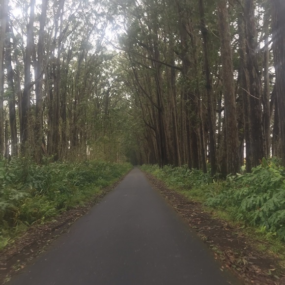 Profile Picture of Megan Davies (@megdave18) on Poshmark