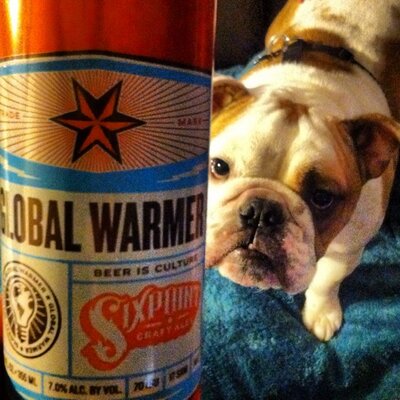 Profile Picture of Chris Adimando (@beertheXp) on Twitter