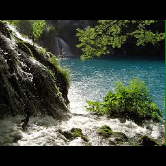 Profile Picture of Jose Chiquito (@jose101hey) on Poshmark