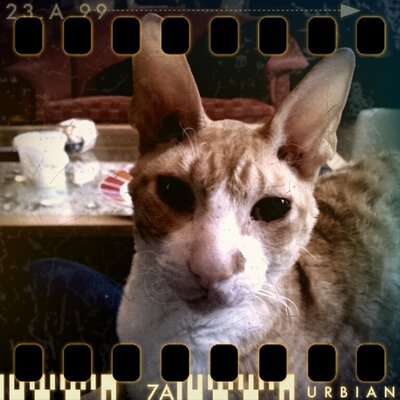 Profile Picture of Peter Otten (@otten_peter) on Twitter