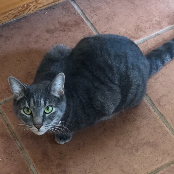 Profile Picture of Isabel Sullivan (@sullybell4) on Poshmark