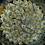 Profile Picture of brian gathura (@brian_gathura) on Instagram