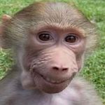Profile Picture of Blake Guerrero (@blake_g_15) on Instagram
