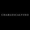 Profile Picture of Charles Calvino (@@charlescalvino) on Tiktok
