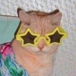 Profile Picture of Julia Haugabook (@juliahxu) on Instagram