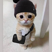 Profile Picture of Humberto Esparza (@humbertoesparza5557) on Youtube