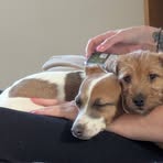 Profile Picture of Justine Felts (@Justine-Felts) on Facebook