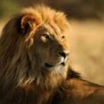 Profile Picture of Michele Gaudioso (@oleario) on Instagram