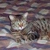 Bobbi Emery - Quora Profile Picture of Bobbi Emery (@bobbi-emery-1) on Quora