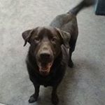 Profile Picture of Luke Winkelman (@lwendelin) on Instagram