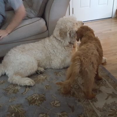 Jeremy McCartney - Twitter Profile Picture of Jeremy McCartney (@JeremyMcCartne6) on Twitter