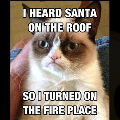 Profile Picture of Michael Passariello (@Passariello_M) on Twitter