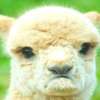 Profile Picture of Brian Rydén (@brian-rydén) on Quora