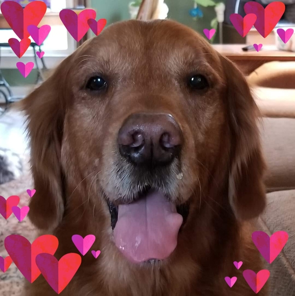 Profile Picture of Christy Lindsay (@christy308) on Poshmark