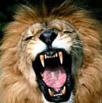 Profile Picture of Steve Crosthwaite (@crostop12) on Facebook