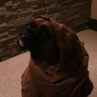 Profile Picture of Michele (@michael.donato) on Instagram