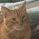 Profile Picture of Chase Casey (@chasec121) on Instagram